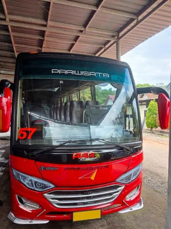 Medium Bus